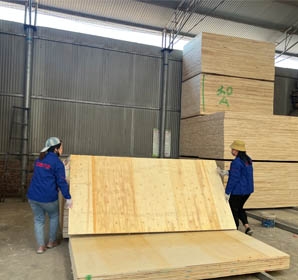 全屋定製生態板,三聚氰胺生態板,細木（mù）工（gōng）板（bǎn）