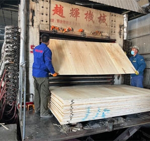 全屋定製生態板,三聚氰胺生態板,細木（mù）工板